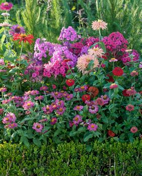 Vrt ne mora biti prevelika briga