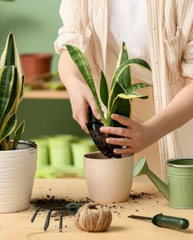 Presađivanje je zapravo jednostavan ritual