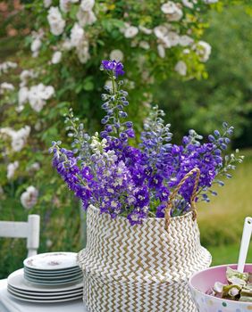 Kokotić je cvijet 2026. godine