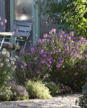 Odaberite pravu boju cvijeća za mali vrt - 5