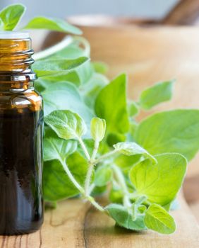 Ulje divljeg origana