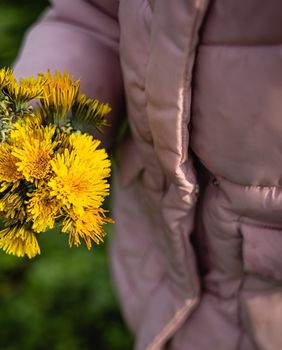 Dijete drži maslačak