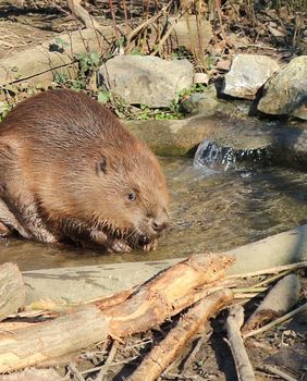 Do kraja veljače u zagrebačkom zoo vrtu održavat će se Egzotične subote - 1