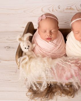 Izvor inspiracije prilikom odabira imena može biti i Biblija