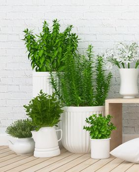 Vaše omiljene biljke ne moraju uvenuti ako idete na godišnji odmor