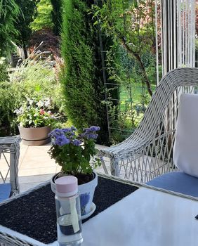 Dvorište Marice Jurakić iz zagrebačke Dubrave jedno je od najljepših - 11