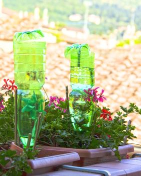 Trik za zalijevanje cvijeća