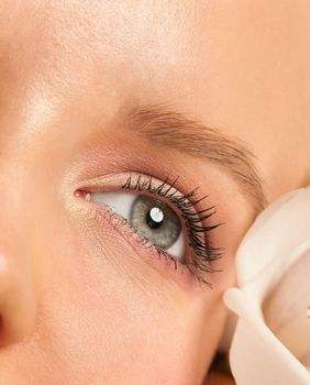 Područje očiju bez podočnjaka i sitnih bora želja je mnogih žena