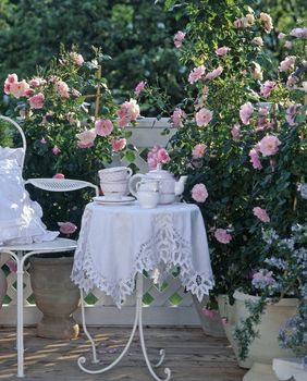 Predivan ružičnjak možete urediti i na balkonu - 4