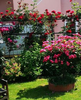 Dvorište Vesne Muže iz Petrinje jedno je od najljepših u tom kraju - 16