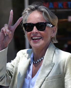 Sharon Stone u ležernom odijelu i cipelama na debelu petu - 1