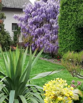 Vrt Branke Markovanović iz Čepina izgleda poput najljepšeg raja - 22