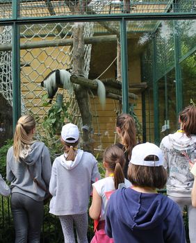 Tijekom ljetnih školskih praznika u Zoološkom vrtu Grada Zagreba održava se Divlje ljeto - 3