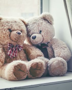 Medvjedići na prozoru