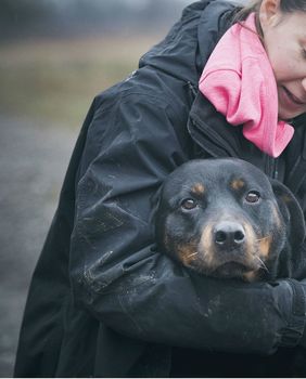 Rotvajlerica Jana traži novi dom - 2