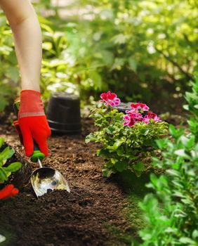 U Botaničkom ćete se vrtu moći opskrbiti novim bijkama
