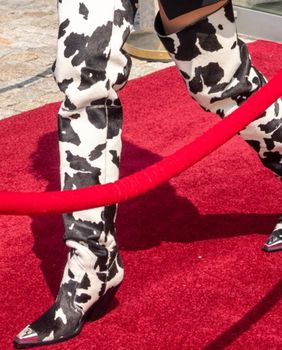 Kravlji uzorak sve je popularniji