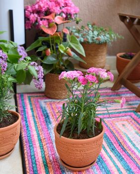 Tepih može podići izgled balkona
