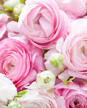 Ranunkula, cvijet koji izgleda kao sestra ruže i božura