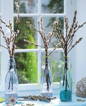 Cica mace u vazi su divan ukras doma