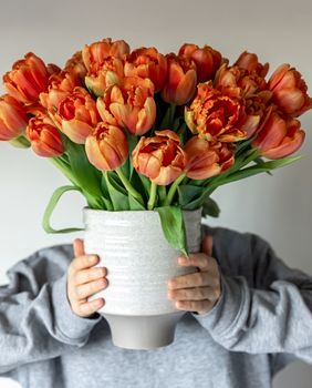Tulipani