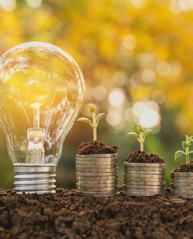 Žarulja kao simbol pameti i inteligencije