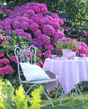 Prekrasni vrtovi s hortenzijama - 9