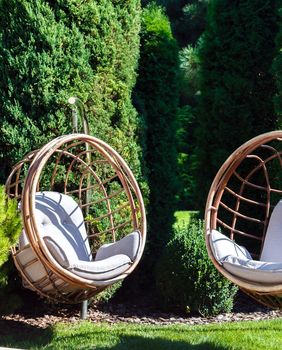 Tuje u dvorištu stvaraju predivan zeleni ugođaj