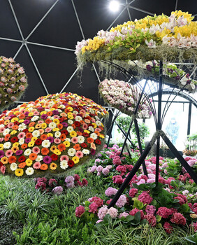 Floraart