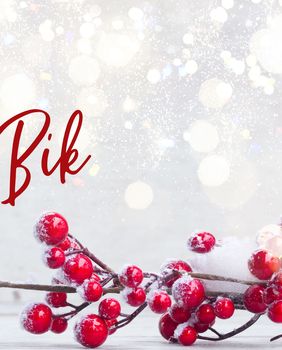 Mjesečni horoskop za prosinac