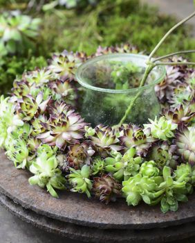 Ukrasni vijenac od sukulenata