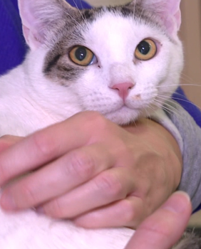 Mia Kovačić spasila i udomila Spocka