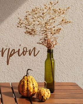 Mjesečni horoskop za studeni