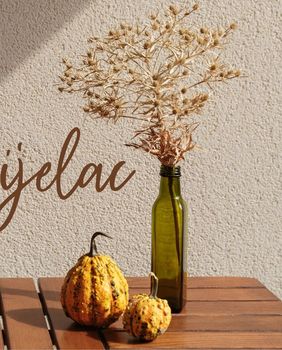 Mjesečni horoskop za studeni