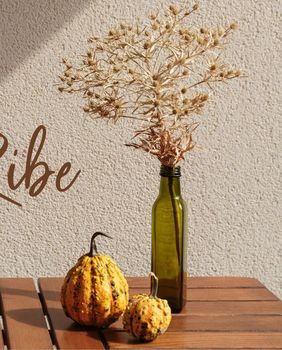 Mjesečni horoskop za studeni