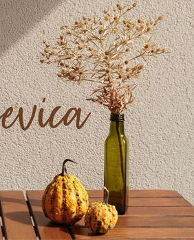 Mjesečni horoskop za studeni