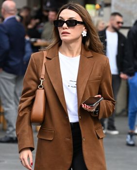 Smeđa boja na zagrebačkoj špici