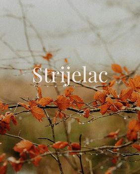 Strijelac