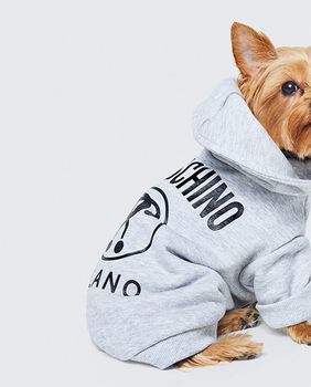 H&M i Moschino kolekcija za pse