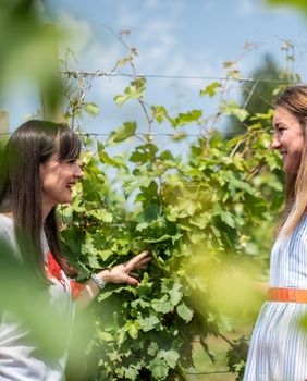 Hrvatska vinska priča u finalu natjecanja američkog Wine Spectatora - 4