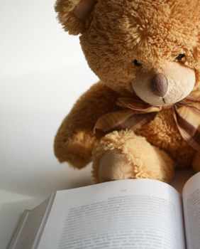 Medvjedić čita knjigu