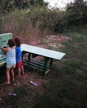 Šuma je idealan poligon za razvoj vještina