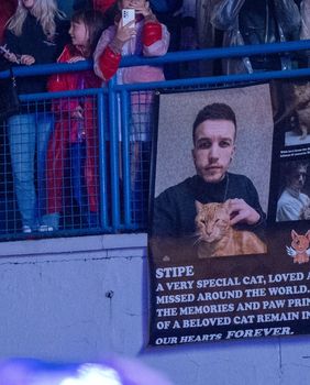 Emotivan plakat posvećen mačku Stipi