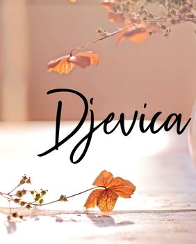 Djevica