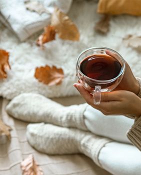 Što vam sprema ova jesen?