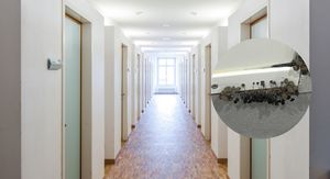 Gljivice koje rastu iz zida studentskog doma