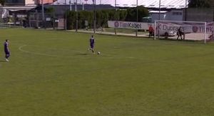 Autogol Ante Matića
