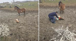 Policija spasila ždrijebe