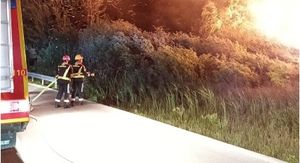 Požar u zaštićenom rezervatu Orepak u dolini Neretve