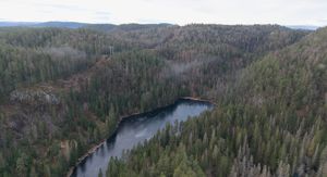 Ovo europsko nalazište rijetkih metala moglo bi pokriti trećinu potreba EU-a, ali projekt i dalje stoji